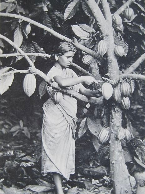 Exploring India’s Rich Floral Heritage